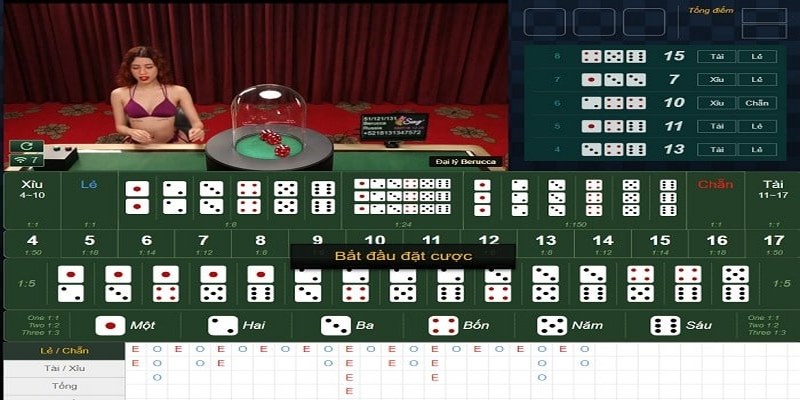 Tân thủ dễ dàng theo dõi tỷ lệ cược cũng như chiến thắng của mình